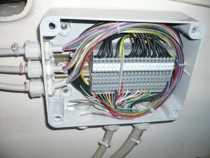 P1010351R